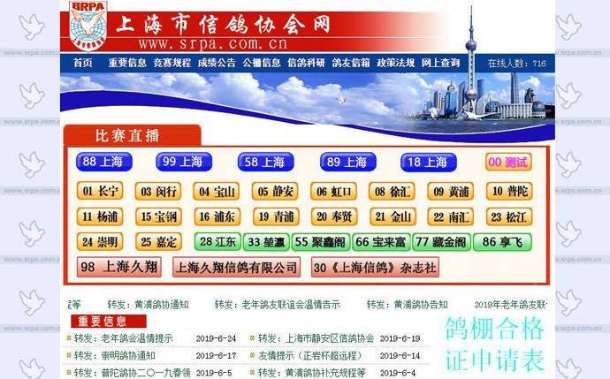 上海信鸽协会